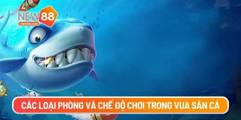 Các loại phòng và chế độ chơi trong Vua săn cá