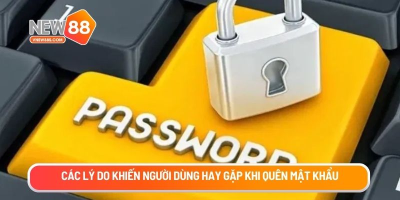Các lý do khiến người dùng hay gặp khi quên mật khẩu New88