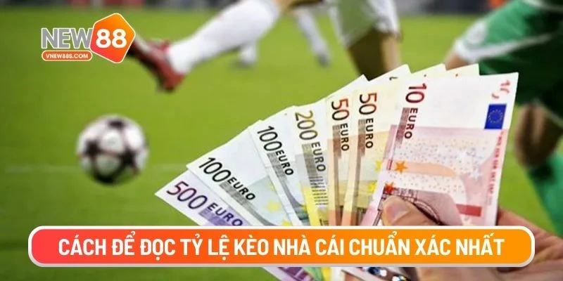 Cách để đọc tỷ lệ kèo nhà cái chuẩn xác nhất