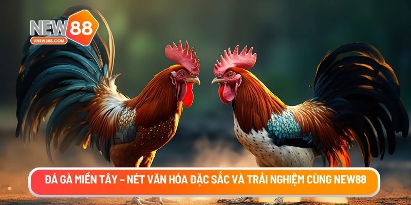 da-ga-mien-tay-thump