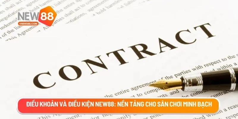 Điều khoản và điều kiện
