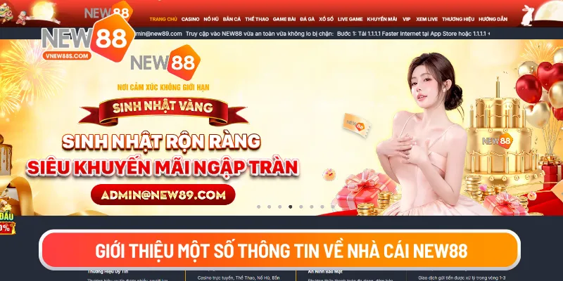 Giới thiệu một số thông tin về nhà cái New88