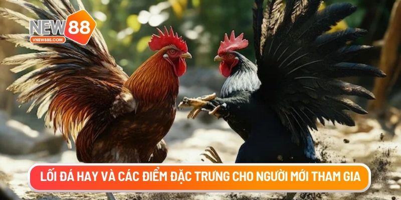 Lối đá hay và các điểm đặc trưng cho người mới tham gia