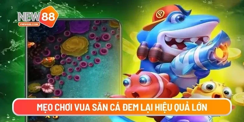Mẹo chơi vua săn cá đem lại hiệu quả lớn