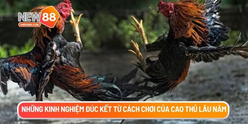 Những kinh nghiệm đúc kết từ cách chơi của cao thủ lâu năm