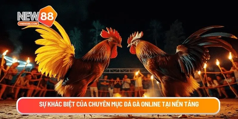 Sự khác biệt của chuyên mục đá gà online tại nền tảng