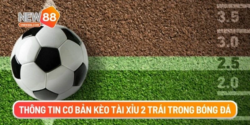 Thông tin cơ bản kèo tài xỉu 2 trái trong bóng đá