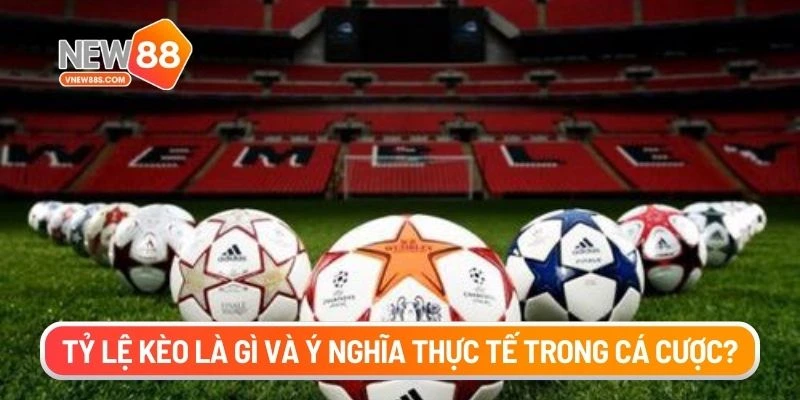 Tỷ lệ kèo là gì và ý nghĩa thực tế trong cá cược?