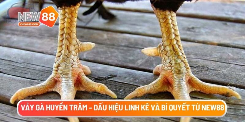 vay-ga-huyen-tram