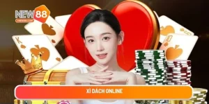 xi-dach-online (1)
